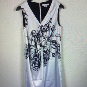 Kay Unger Sleeveless Dress Size 2